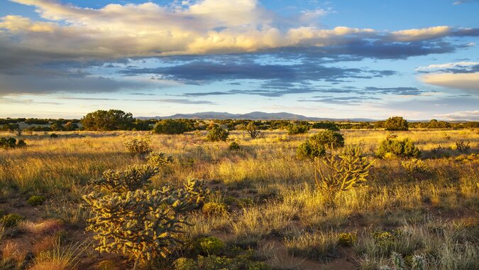 Homes in Santa Fe New Mexico